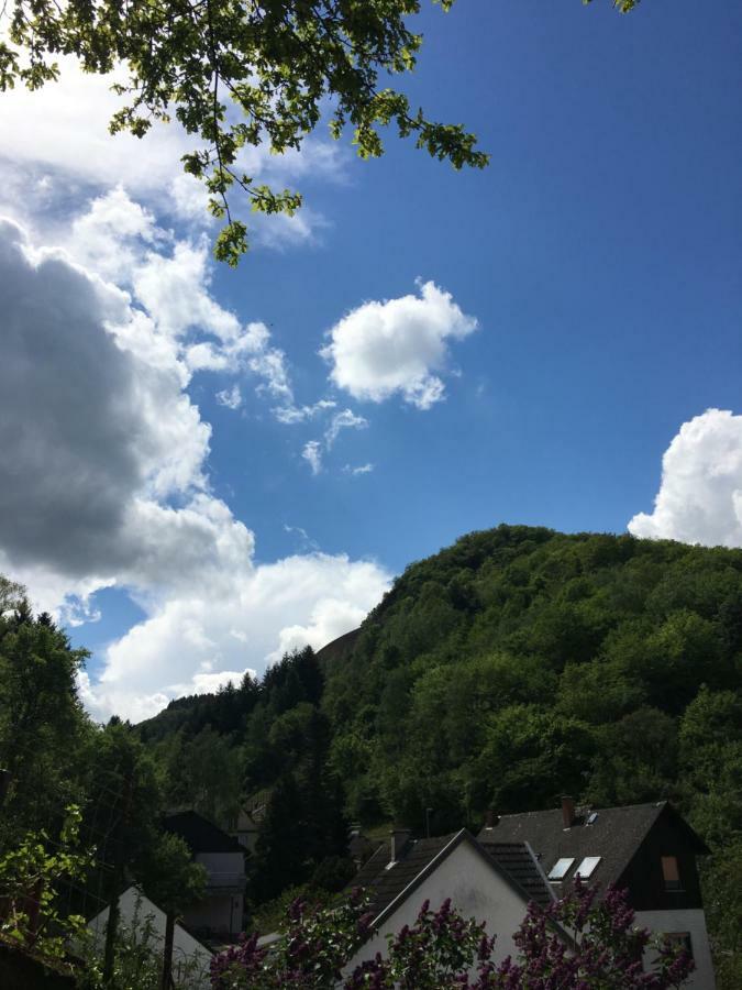 Appartamento Haus Anne Cochem Esterno foto