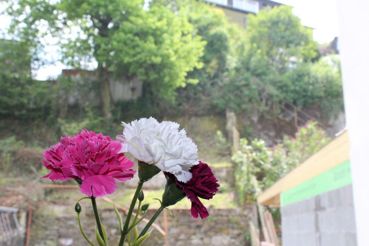 Appartamento Haus Anne Cochem Esterno foto